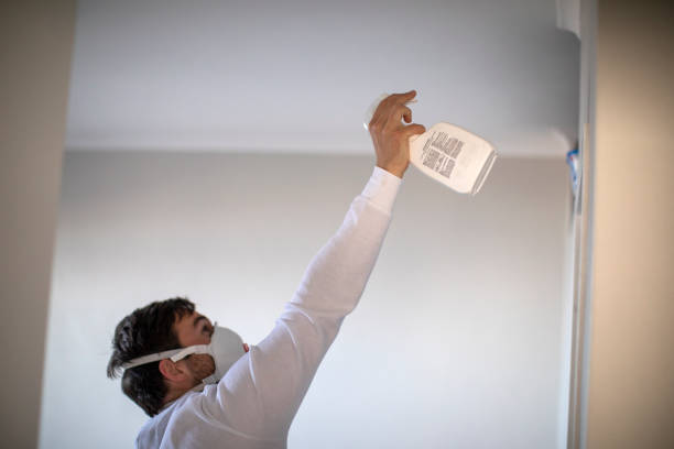 Best Professional Mold Removal  in Bloomfield Hills, MI