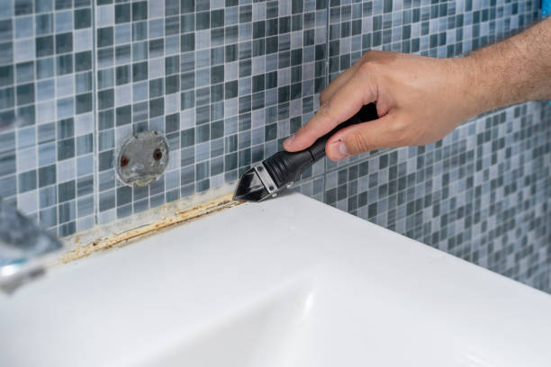 Best Office Mold Removal Services  in Bloomfield Hills, MI