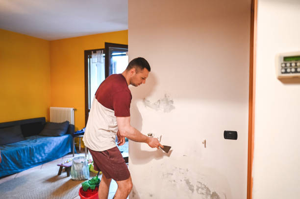 Trusted Bloomfield Hills, MI Mold Removal Experts